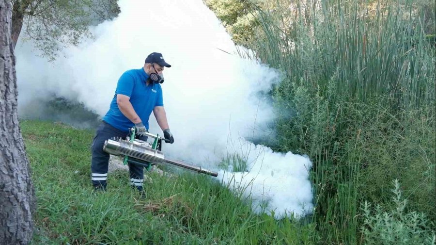 Boğaçayı’nda Vektörle Mücadele Çalışması