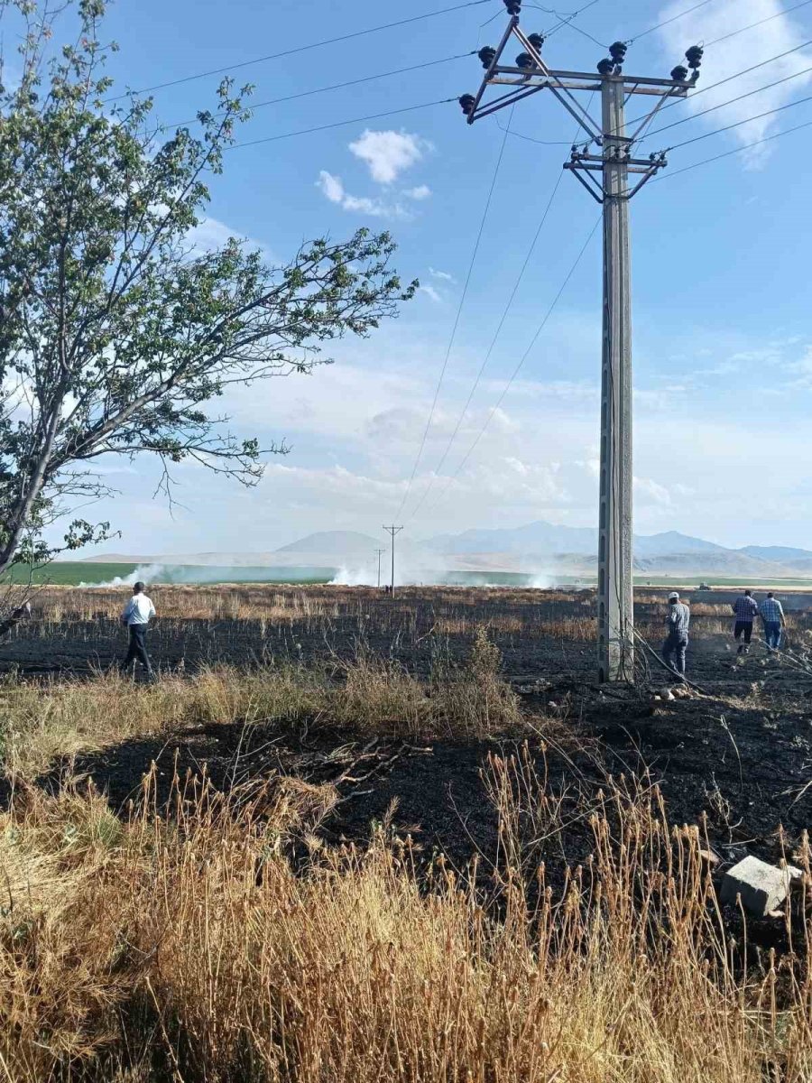 Karapınar’da Buğday Ekili Tarlada Yangın Paniği