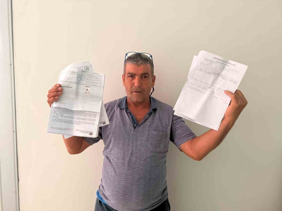 ’yılanı Öldürdüm’ Deyip Çektirdiği Video Pahalıya Mal Oldu: 22 Bin Tl Ceza Yedi