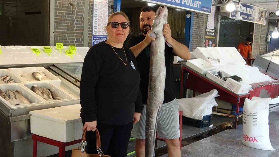 Mersin’de Dev Yılan Balığı Tezgahta İlgi Odağı Oldu