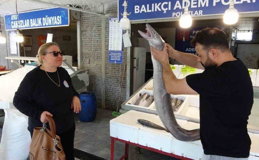 Mersin’de Dev Yılan Balığı Tezgahta İlgi Odağı Oldu