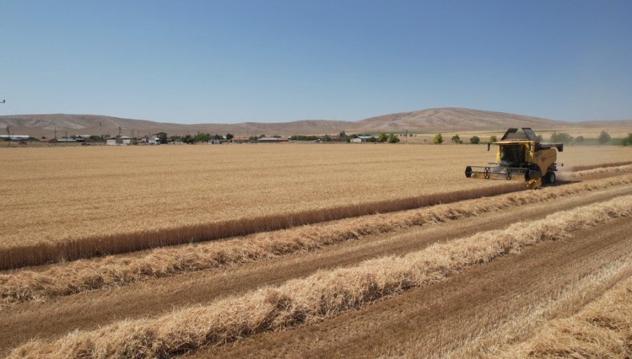 Konya Ovasında Çiftçinin Bayramı Başladı
