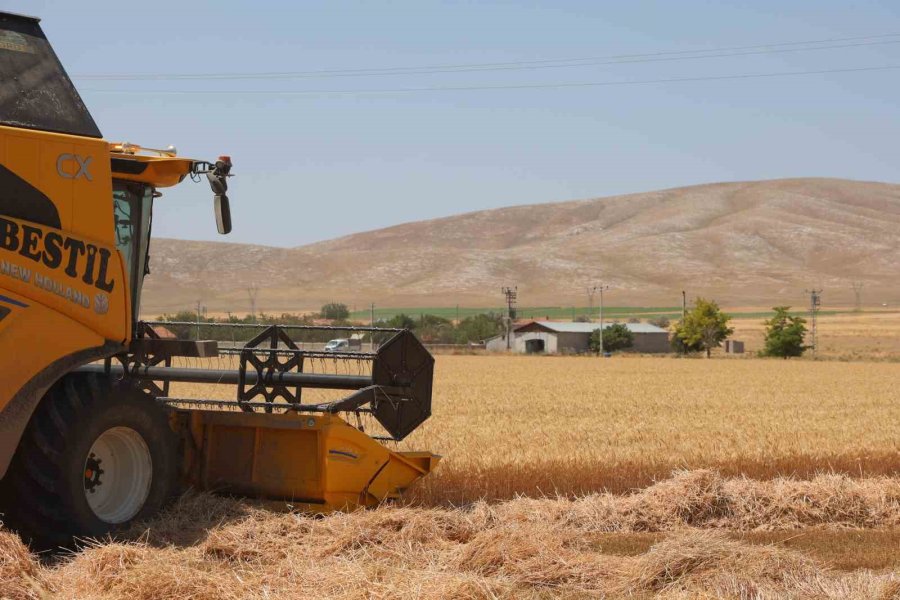 Konya Ovasında Çiftçinin Bayramı Başladı
