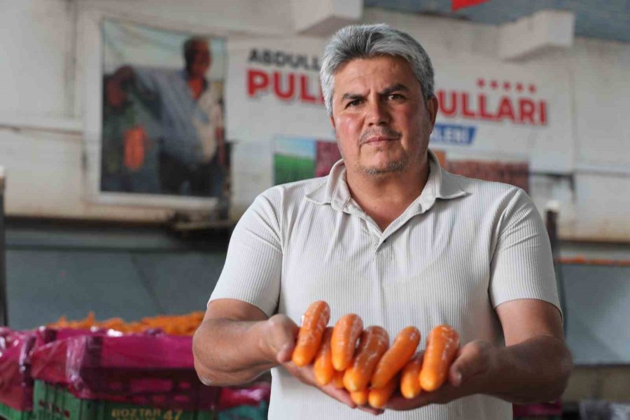 Havuç Üretiminin Yüzde 67’si Konya’dan