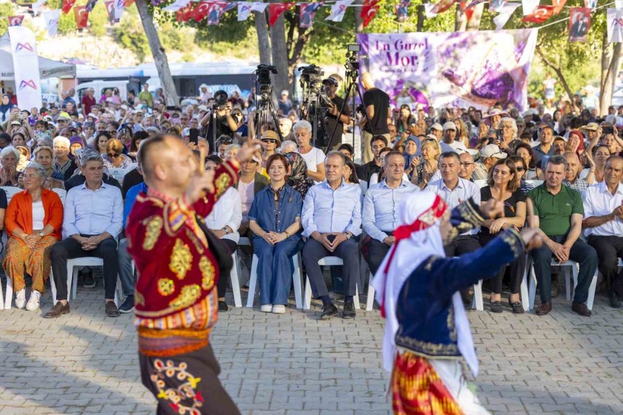 Mersin’de Mor Tarlalarda Hasat Başladı