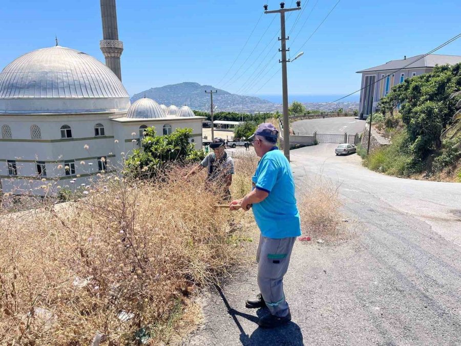 Alanya Belediyesi’nden Yeşil Alanlarda Yoğun Mesai