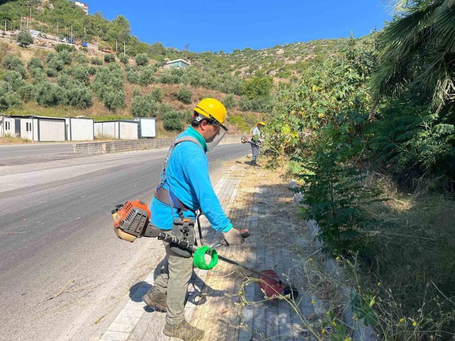 Alanya Belediyesi’nden Yeşil Alanlarda Yoğun Mesai