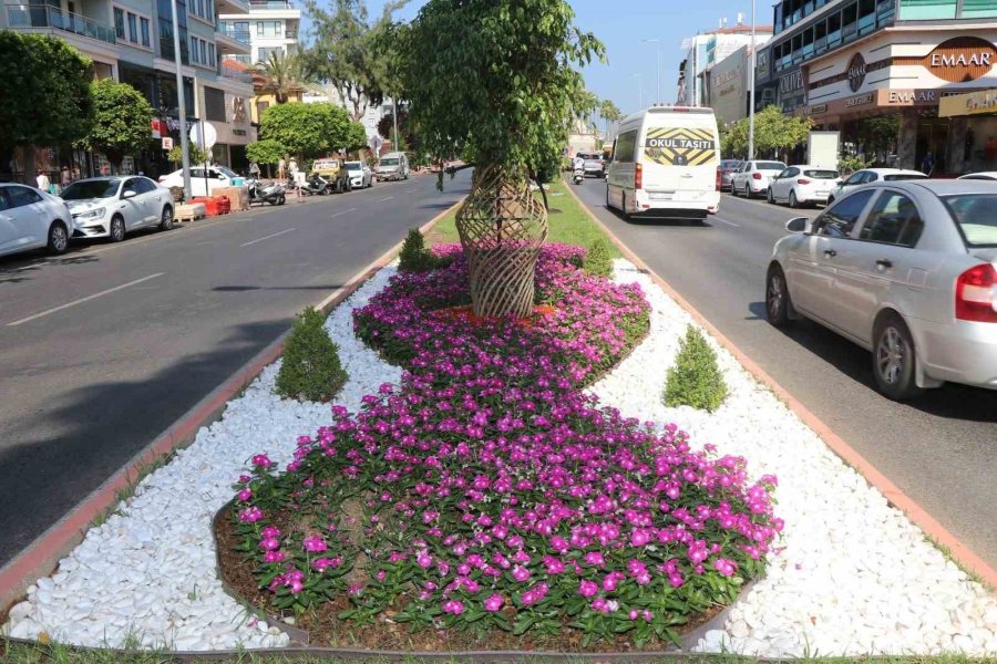 Alanya Belediyesi’nden Yeşil Alanlarda Yoğun Mesai