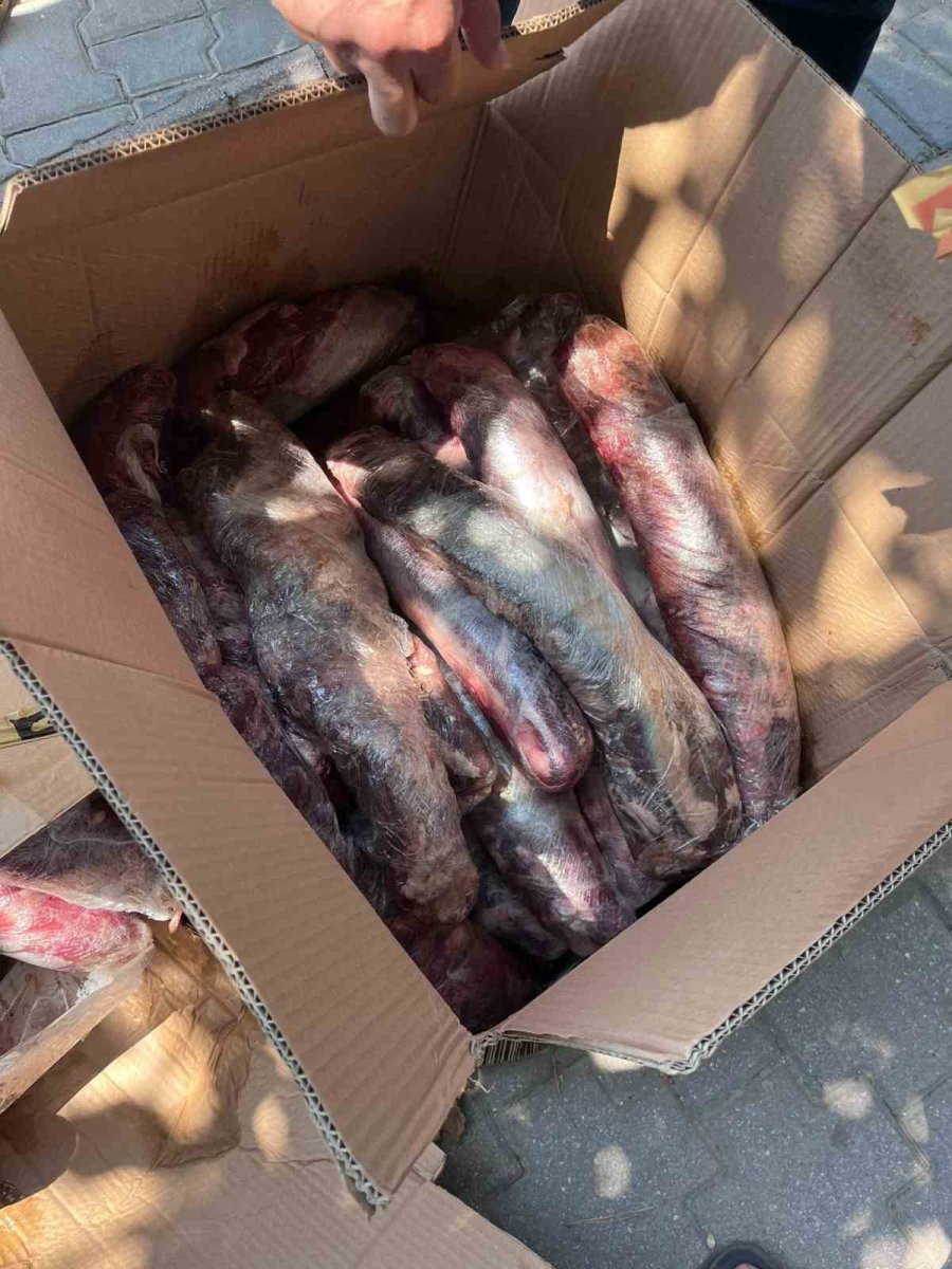 Halk Sağlığını Tehdit Eden 300 Kilogram Et İmha Edildi
