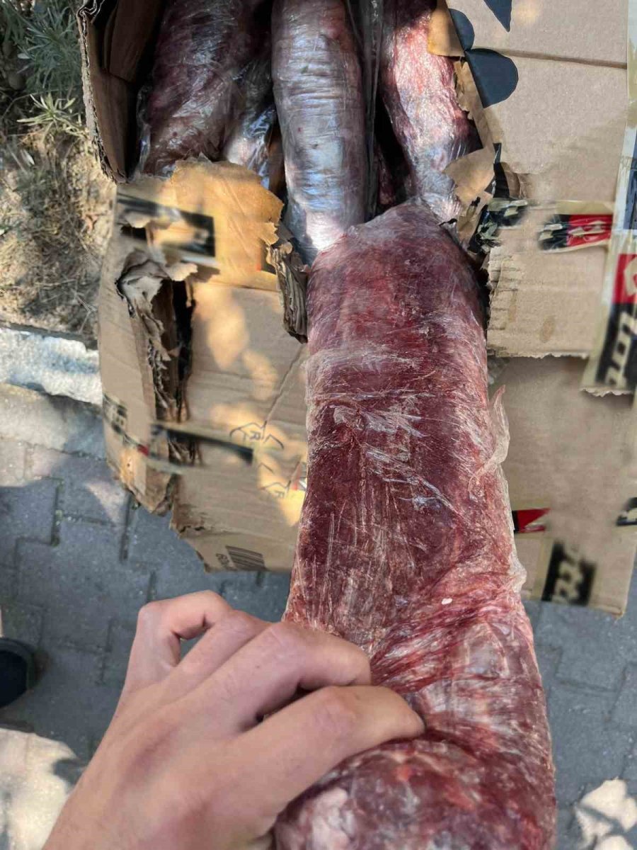 Halk Sağlığını Tehdit Eden 300 Kilogram Et İmha Edildi