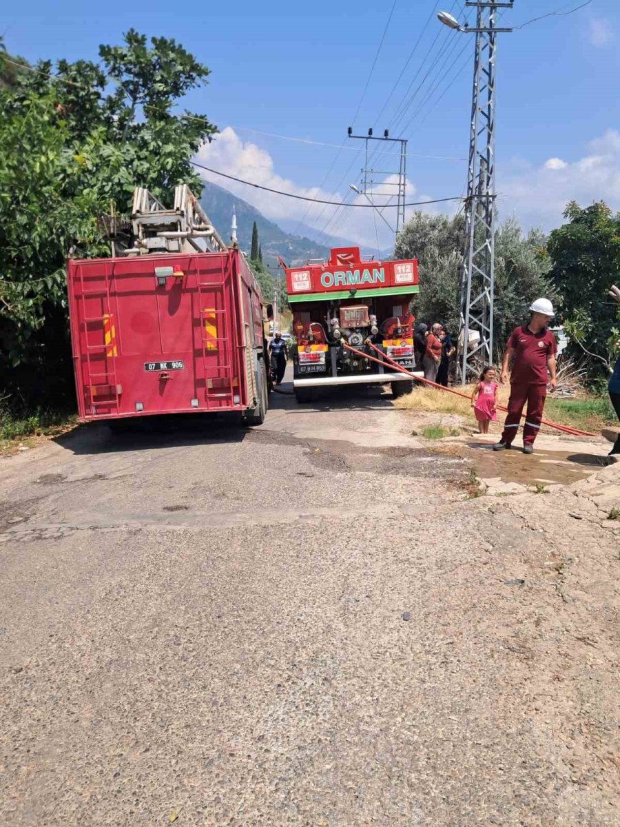 Alanya’da Avokado Bahçelerinin Bulunduğu Zirai Alanda Yangın