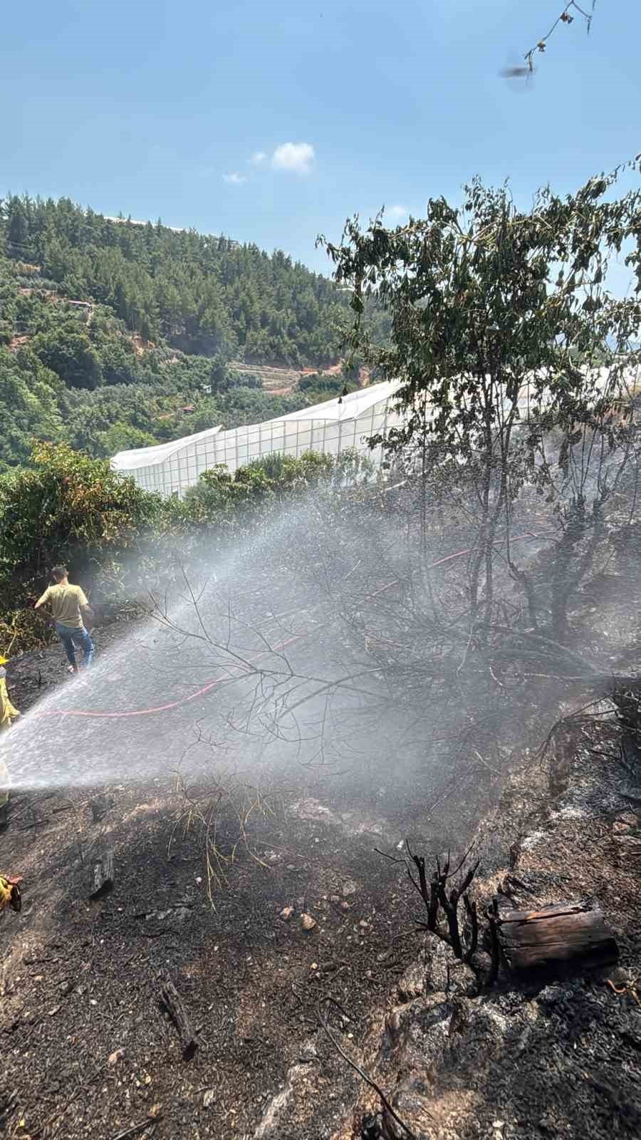 Alanya’da Avokado Bahçelerinin Bulunduğu Zirai Alanda Yangın
