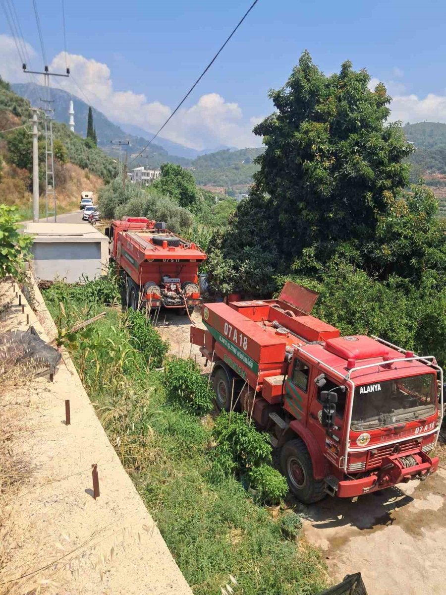 Alanya’da Avokado Bahçelerinin Bulunduğu Zirai Alanda Yangın