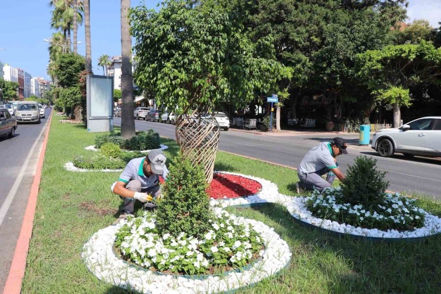 Alanya Belediyesi’nden Yeşil Alanlarda Yoğun Mesai