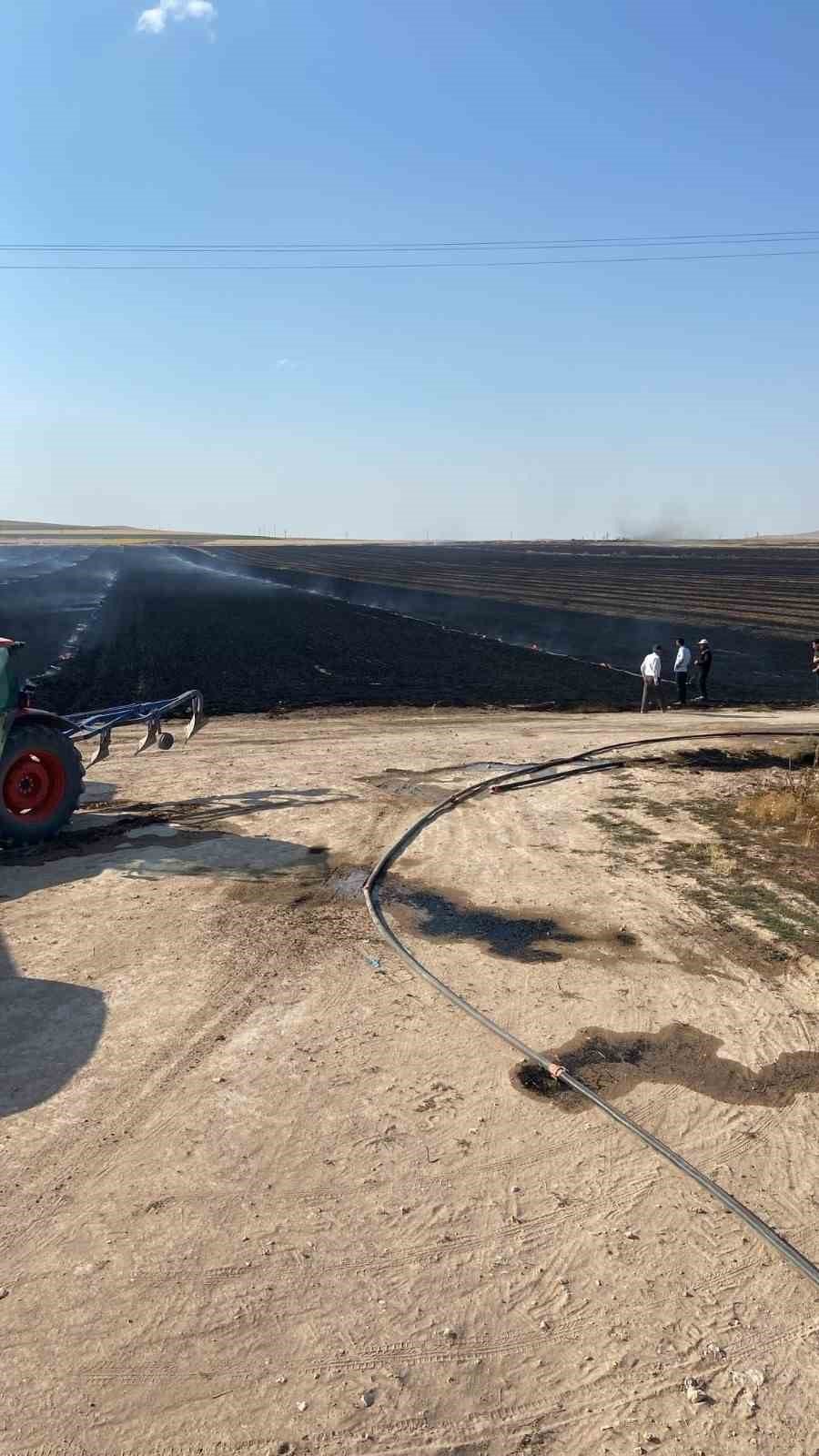 Konya’da Tarla Yangını: 500 Dekar Ekili Alan Kül Oldu