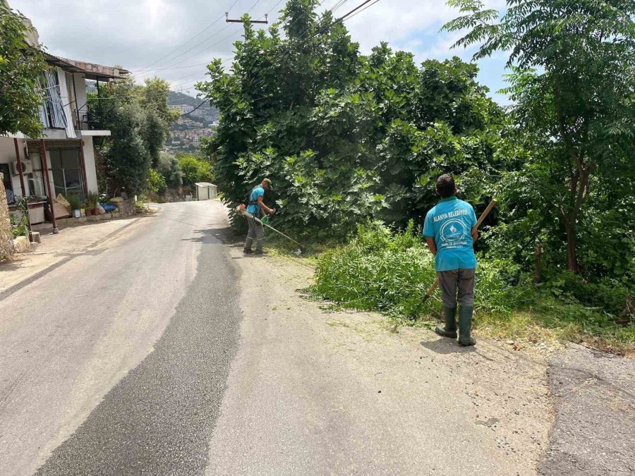 Alanya Belediyesi’nden Yeşil Alanlarda Yoğun Mesai