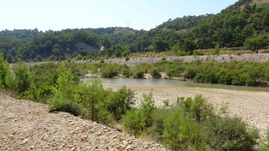 Devrilen Çekici Çınar Ağacına Takıldı Sürücü Araç İçinde Sıkıştı