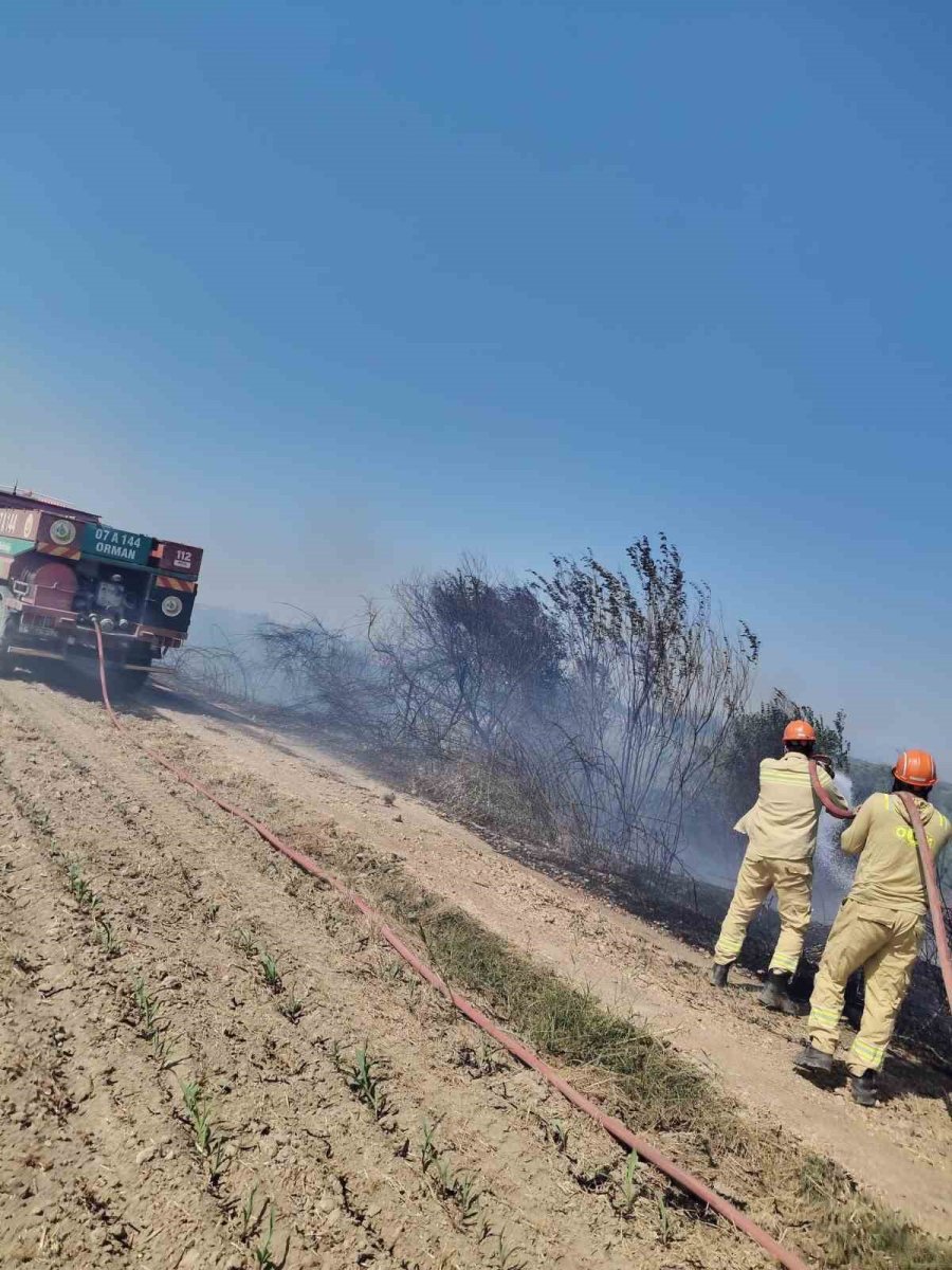 Antalya’da Rüzgarın Etkisiyle Büyüyen Anız Yangını Söndürüldü