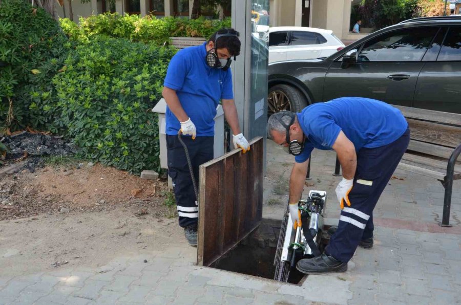 Antalya’da Vektörel Mücadele Kültürel, Fiziksel, Biyolojik Ve Kimyasal Olarak Gerçekleştiriliyor