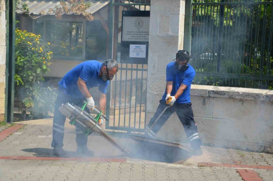 Antalya’da Vektörel Mücadele Kültürel, Fiziksel, Biyolojik Ve Kimyasal Olarak Gerçekleştiriliyor