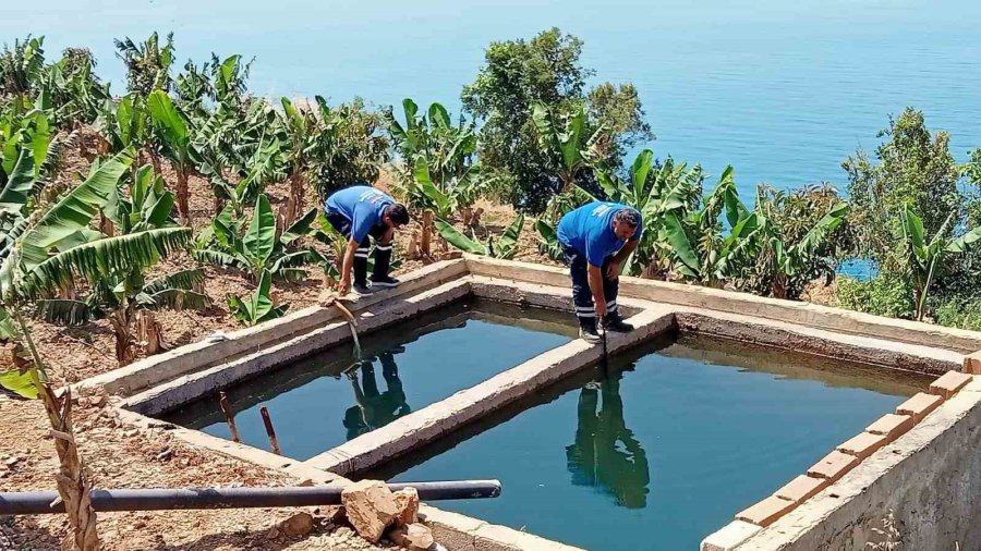 Antalya’da Vektörel Mücadele Kültürel, Fiziksel, Biyolojik Ve Kimyasal Olarak Gerçekleştiriliyor