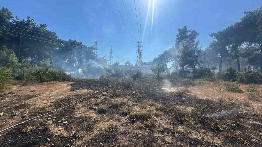 Ormanlık Alanda Çıkan Yangın Büyümeden Söndürüldü