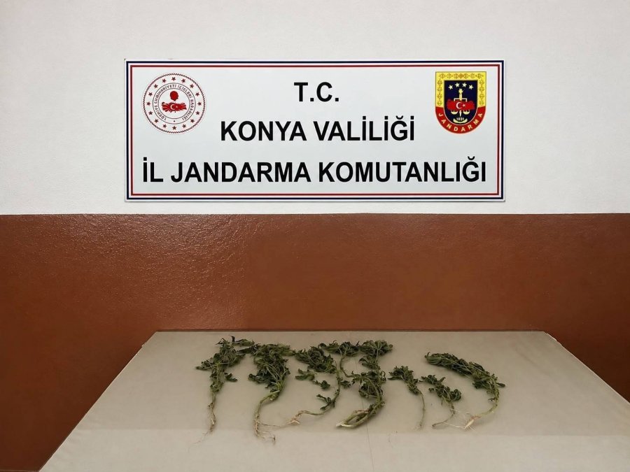 Konya’da Jandarmadan Uyuşturucu Operasyonları: 5 Tutuklama