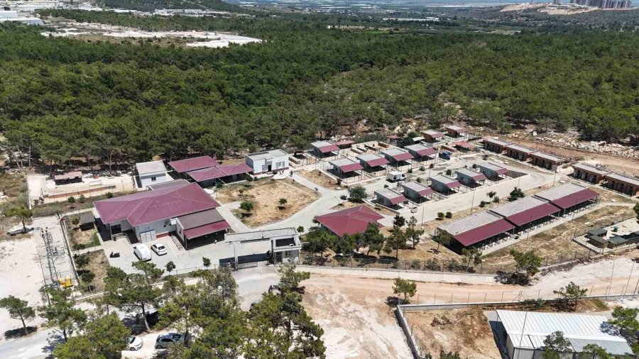Mersin’de Sahipsiz Hayvanlar Tedavi Edilip Sıcak Yuvalarına Kavuşuyor