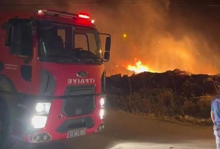 Otluk Yangını Orman Ve İtfaiye Ekipleri Tarafından Söndürüldü