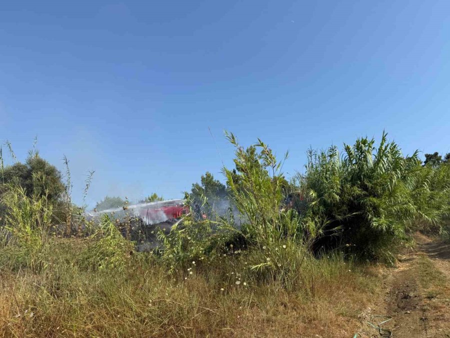 Manavgat’ta Kamışlık Alanda Çıkan Yangın Söndürüldü