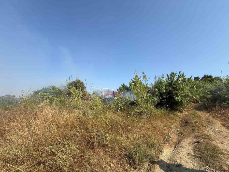 Manavgat’ta Kamışlık Alanda Çıkan Yangın Söndürüldü
