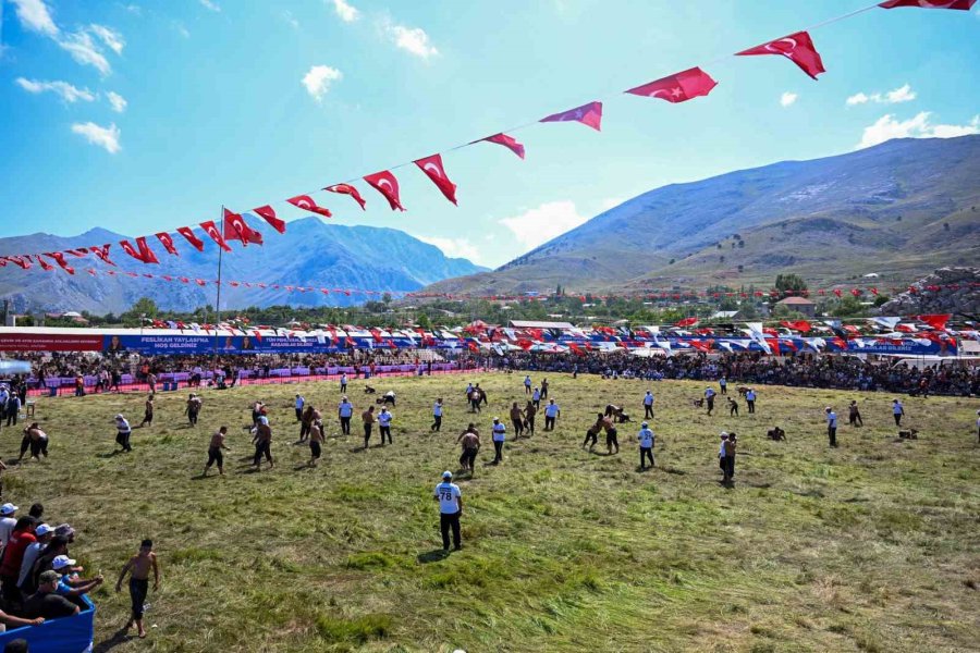 Feslikan Yağlı Pehlivan Güreşleri’ni Başpehlivan Erkan Taş Kazandı
