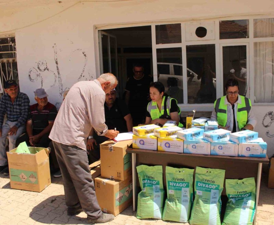 Büyükşehir’den Elmalı’da Aşırı Yağıştan Etkilenen Üreticilere Destek