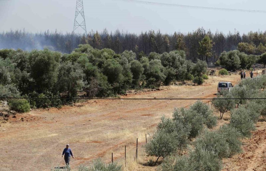 Antalya’da Ormanlık Alandaki Yangın Kontrol Altına Alındı
