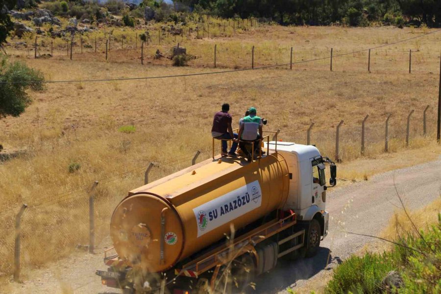 Antalya’da Ormanlık Alandaki Yangın Kontrol Altına Alındı