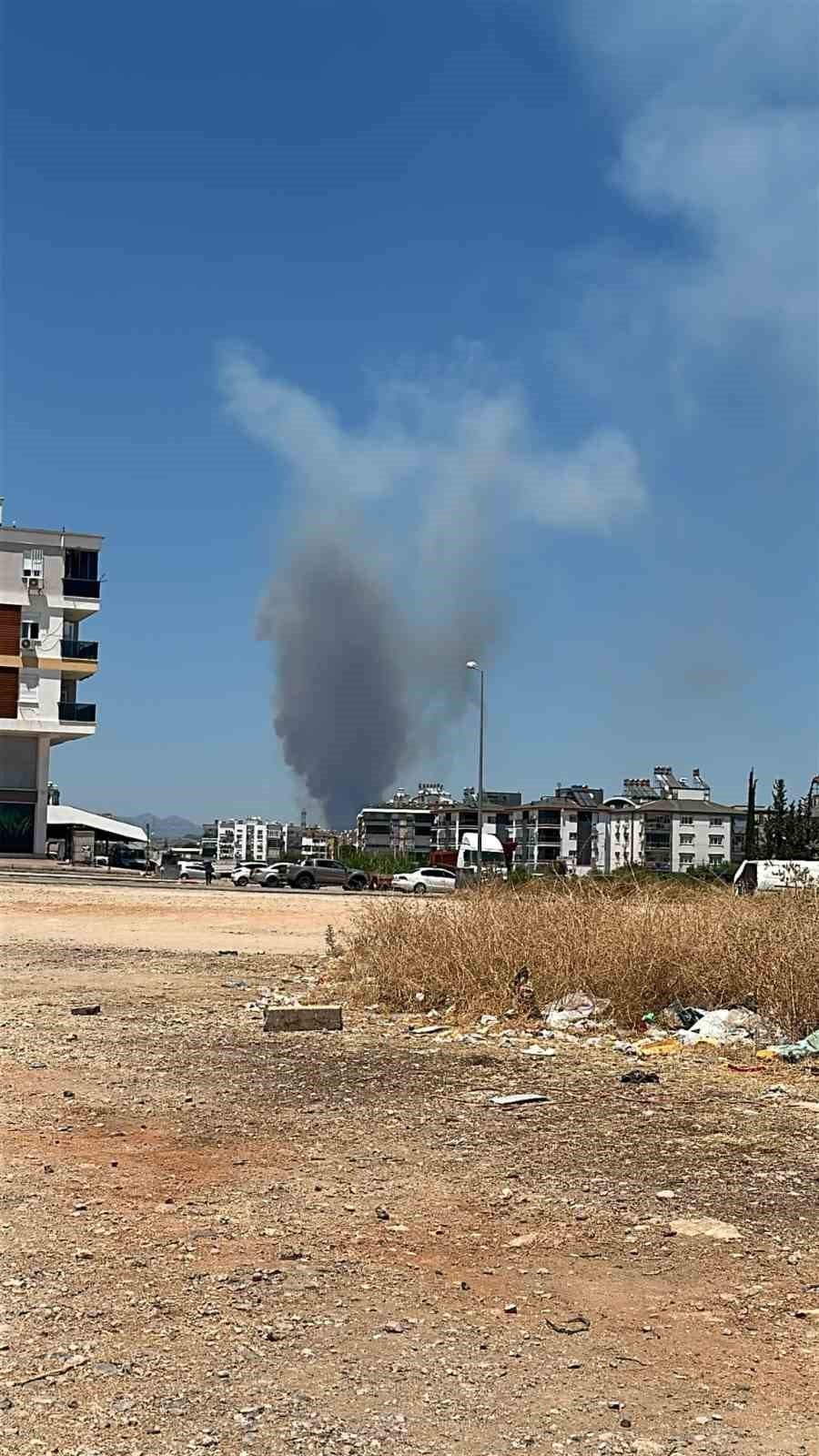 Antalya’da Ormanlık Alanda Yangın