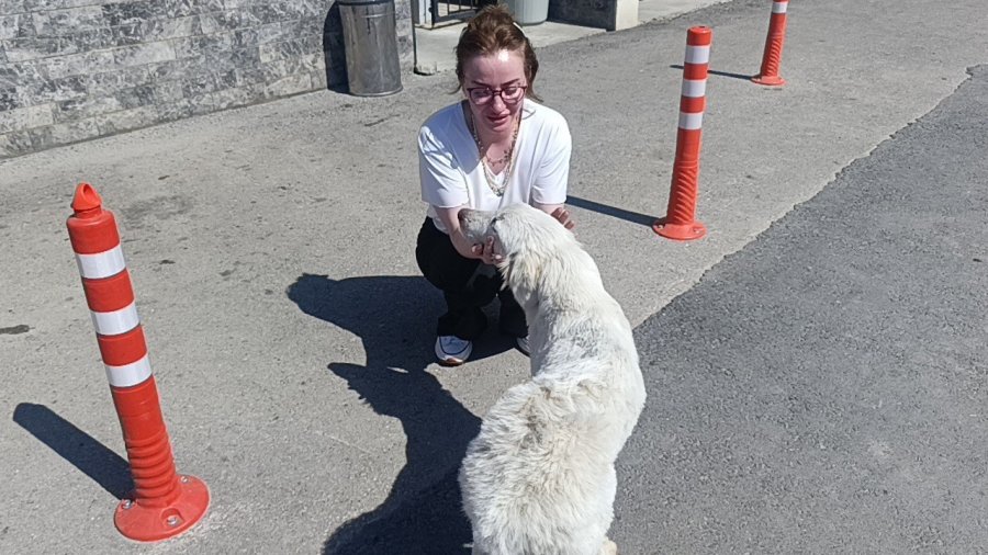 Mahsur Kalan Köpeğin Sesini Sadece O Duydu, Kurtarıldığında Gözyaşlarına Boğuldu