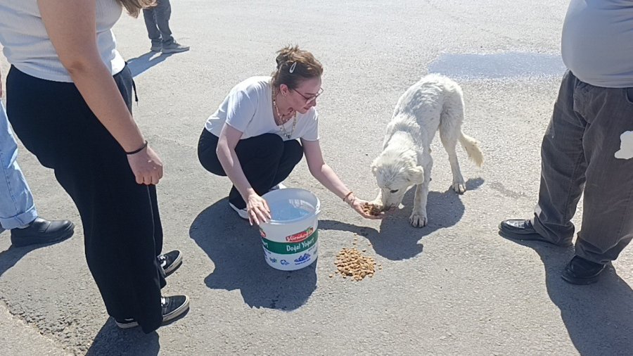 Mahsur Kalan Köpeğin Sesini Sadece O Duydu, Kurtarıldığında Gözyaşlarına Boğuldu