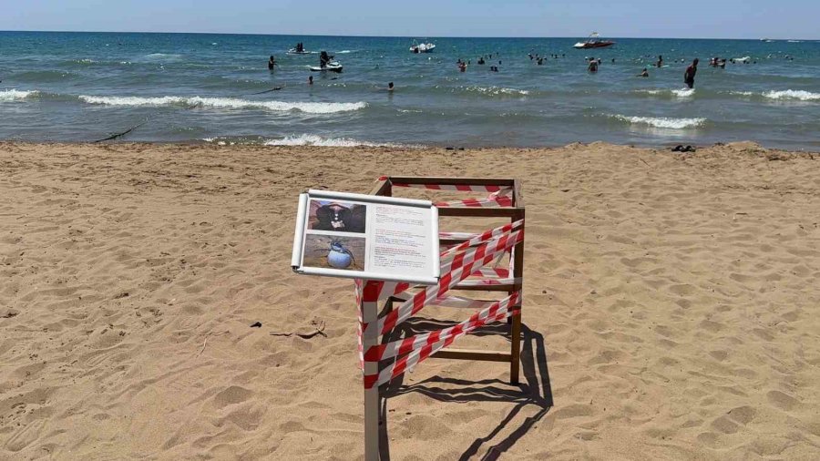 Antalya’da ’caretta Caretta’ Yuvası Bilmecesi