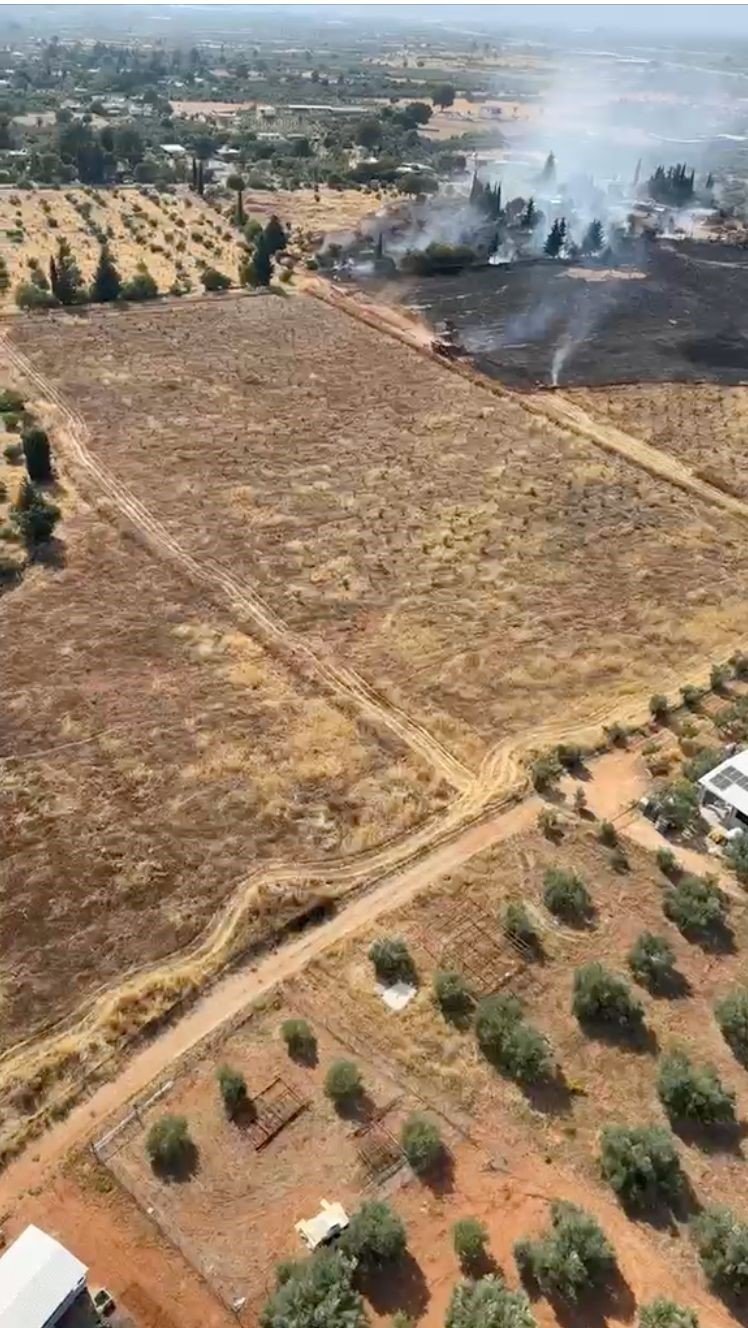 Antalya’da Ormanlık Alanı Tehdit Eden Yangın