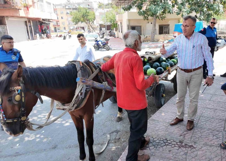 Mersin’de Bitkin Düşen At Yeni Yuvasına Kavuştu