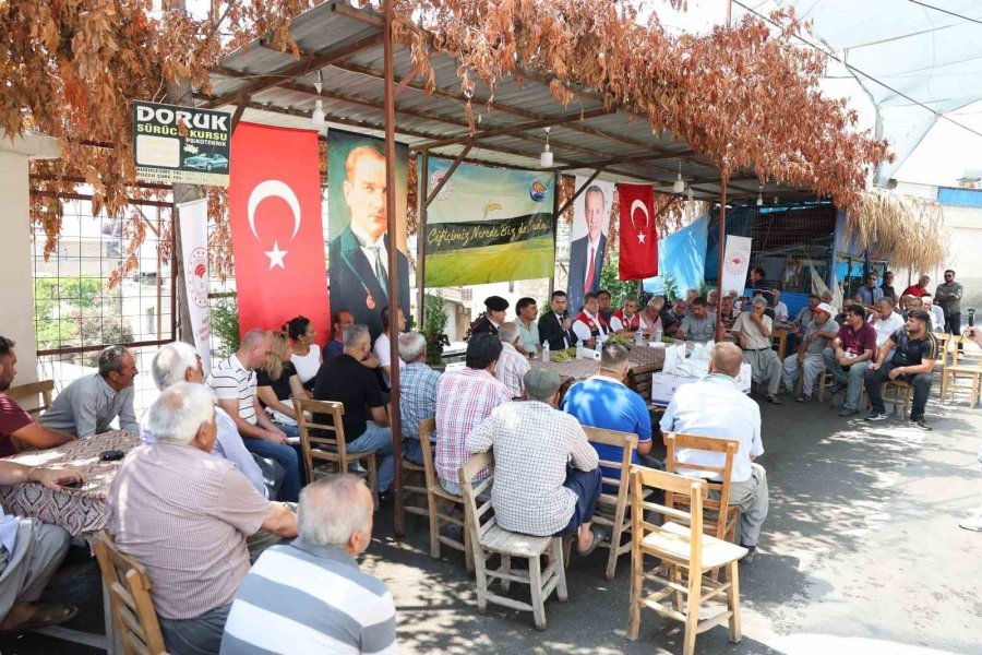 Akdeniz’de Meyve Sineğiyle Mücadeleye İlaç Desteği