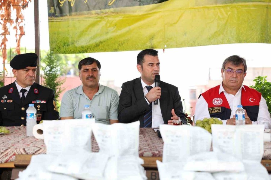 Akdeniz’de Meyve Sineğiyle Mücadeleye İlaç Desteği