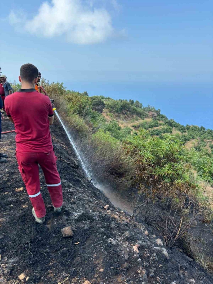 Gazipaşa’da Çıkan Yangın Büyümeden Söndürüldü