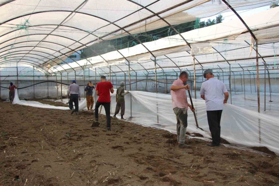 Seralarda Yeni Sezon Üretim İçin Solarizasyon Dönemi Başladı