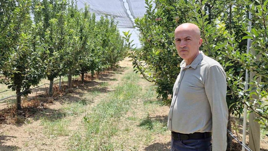 Rekor Üretime Dolandırıcı Uyarısı
