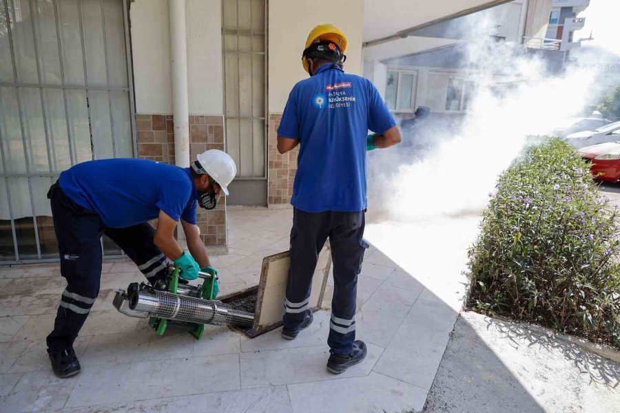 Büyükşehir Vektörle Mücadelede Eğitim Ve Saha Çalışmalarını Sürdürüyor