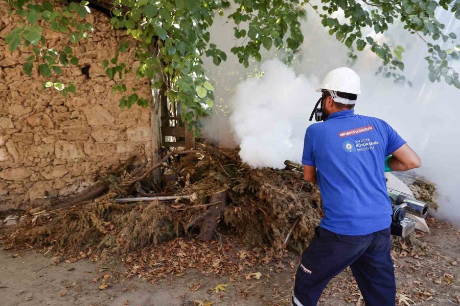 Büyükşehir Vektörle Mücadelede Eğitim Ve Saha Çalışmalarını Sürdürüyor