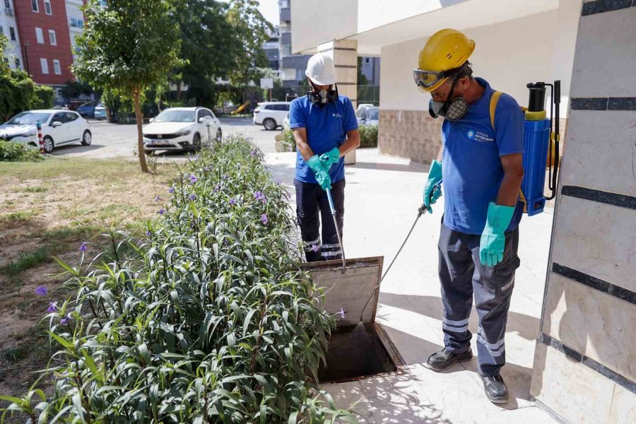 Büyükşehir Vektörle Mücadelede Eğitim Ve Saha Çalışmalarını Sürdürüyor