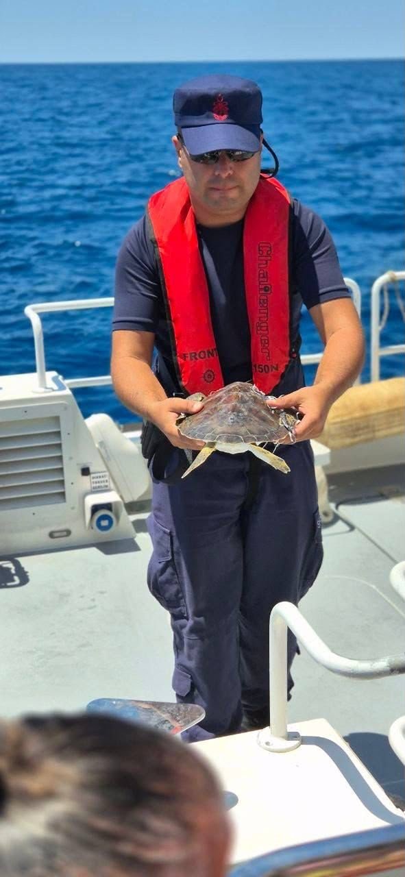 Alanya’da Çuvala Dolanan Caretta Carettayı Tur Teknesi Kaptanı Kurtardı